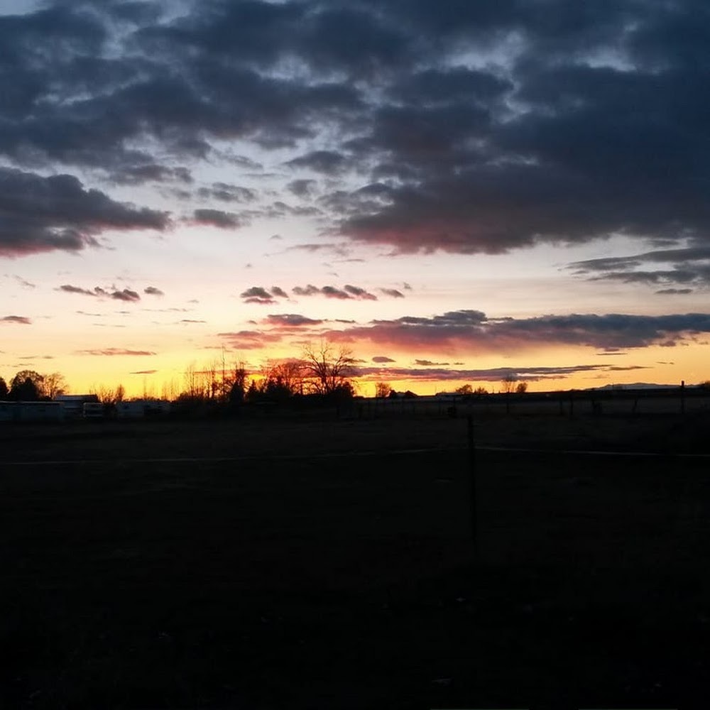 Meet your Posher, {nიოოყ